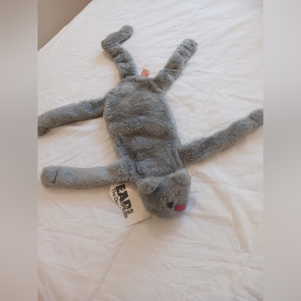 COPY - Earl The Dead Cat
